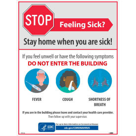 National Marker Company PST142 Stay Home When You Are Sick Poster, 18" X 24", Synthetic paper image.