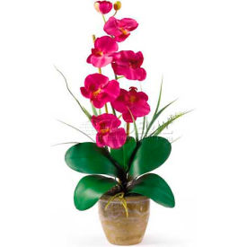 Nearly Natural 1016-BU Nearly Natural Phalaenopsis Silk Orchid Flower Arrangement, Beauty image.