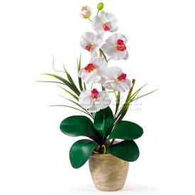 Nearly Natural 1016-WH Nearly Natural Phalaenopsis Silk Orchid Flower Arrangement, White image.
