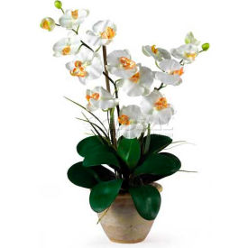 Nearly Natural 1026-CR Nearly Natural Double Phalaenopsis Silk Orchid Flower Arrangement, Cream image.