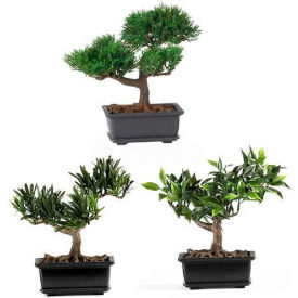 Nearly Natural 8.5 Bonsai Silk Plant Collection (Set of 3)
