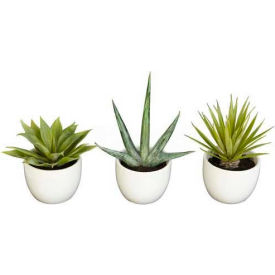 Nearly Natural Southwest Collection (Set of 3)