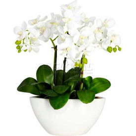 Nearly Natural 4804 Nearly Natural Phalaenopsis Silk Flower Arrangement image.