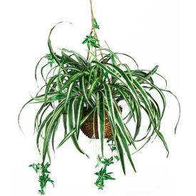 Nearly Natural 6607 Nearly Natural Spider Hanging Basket Silk Plant image.
