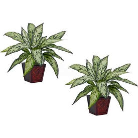 Nearly Natural Silver Queen Silk Plant (Set of 2)