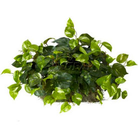 Nearly Natural 6708 Nearly Natural Pothos Ledge Plant (Set on Foam) Silk Plant image.