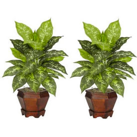 Nearly Natural Dieffenbachia with Wood Vase Silk Plant (Set of 2) Variegated
