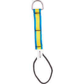 WERNER LADDER - Fall Protection M410002 Werner® D Ring To Cinch Tool Attachment, 5 lbs image.