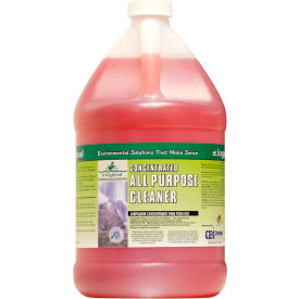 Global Industrial GS004-G2 Green Seal Certified Concentrated All Purpose Cleaner, Gallon Bottle, 2 Bottles image.