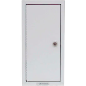 Omnimed Inc. 182180 Omnimed® 182180 Segmented Narcotics Cabinet I-IV - 4 Compartments, 17-3/4"H x 9"W x 4-1/2"D image.