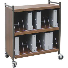 Omnimed Inc. 261516-WD Omnimed® Standard Vertical Cabinet Chart Rack, 16 Binder Capacity, Woodgrain image.