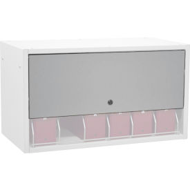 Omnimed Inc. 266010-LG Omnimed® Retractable Locking Panel Only For Cubbie File Rack, Light Gray image.