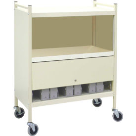 Omnimed Inc. 280110-BG Omnimed® Standard Vertical Cabinet Chart Rack with Locking Panel, 10 Binder Capacity, Beige image.