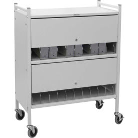 Omnimed Inc. 280120-WG Omnimed® Standard Vertical Cabinet Chart Rack with Locking Panel, 20 Binder Capacity, Woodgrain image.