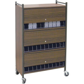 Omnimed Inc. 280130-WG Omnimed® Standard Vertical Cabinet Chart Rack with Locking Panel, 30 Binder Capacity, Woodgrain image.
