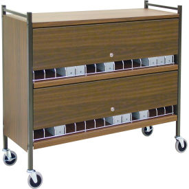 Omnimed Inc. 280135-BG Omnimed® Large Vertical Cabinet Chart Rack with Locking Panel, 30 Binder Capacity, Beige image.