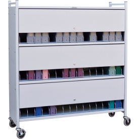 Omnimed Inc. 280145-BG Omnimed® Large Vertical Cabinet Chart Rack with Locking Panel, 45 Binder Capacity, Beige image.