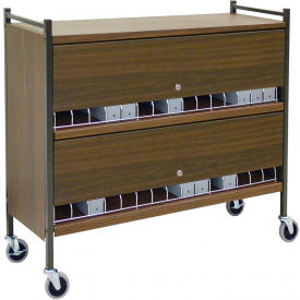 Omnimed Inc. 280145-WG Omnimed® Large Vertical Cabinet Chart Rack with Locking Panel, 45 Binder Capacity, Woodgrain image.