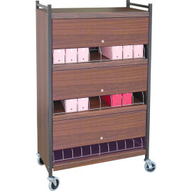 Omnimed Inc. 281524-BG Omnimed® Standard Vertical Cabinet Chart Rack with Locking Panel, 24 Binder Capacity, Beige image.