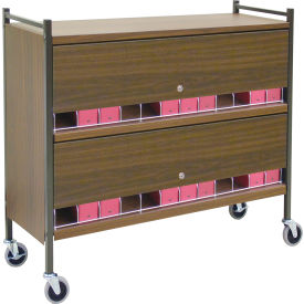 Omnimed Inc. 281530-WG Omnimed® Large Vertical Cabinet Chart Rack with Locking Panel, 24 Binder Capacity, Woodgrain image.