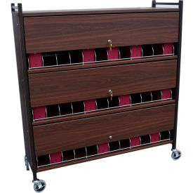 Omnimed Inc. 281536-WG Omnimed® Large Vertical Cabinet Chart Rack with Locking Panel, 36 Binder Capacity, Woodgrain image.