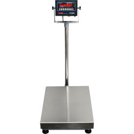 NTEP Bench Scale with LED Indicator, 24" x 18" Platform, 500 lb x 0.1 lb view 2
