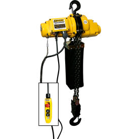 OZ Lifting Products Electric Hoist 4000 lb. Capacity 20 Lift 6.50 FPM 115V 