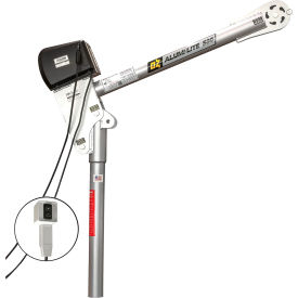 OZ Lifting Products 500 lb. Alumi-Lite Davit Crane with 115V AC Electric Winch 