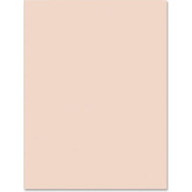 Pacon Corporation 5111 Pacon® Heavyweight Tagboard, 9"W x 12"H, Manila, 100/Pack image.