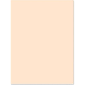 Pacon Corporation 5181 Pacon® Medium Weight Tagboard, 9"W x 12"H, Manila, 100/Pack image.