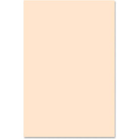 Pacon Corporation 5184 Pacon® Medium Weight Tagboard, 12"W x 18"H, Manila, 100/Pack image.
