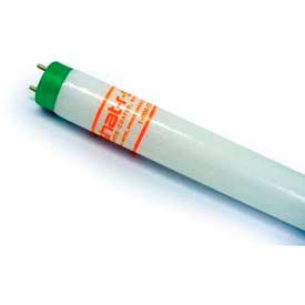 Safety-Coated T8 Lamps