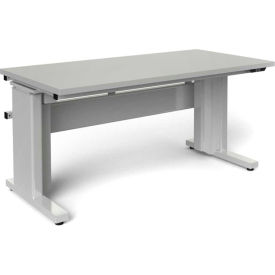 Ergonomic Adjustable Laboratory Work Benches