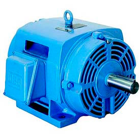 WEG 3-Ph ODP Rigid Mount