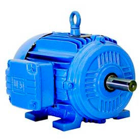 WEG 3-Ph TEFC C-Face Rigid Mount