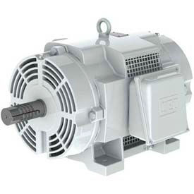 WEG Oil Well Pumping Motors