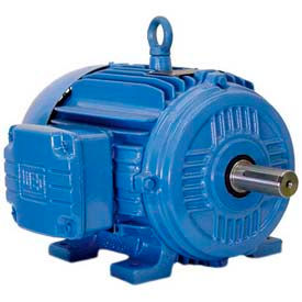 WEG Cooling Tower Motors