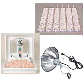 Incubators & Brooder Lamps