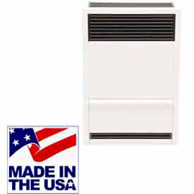 Williams Direct-Vent Gravity Furnaces