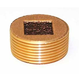 Trenton Pipe Plugs