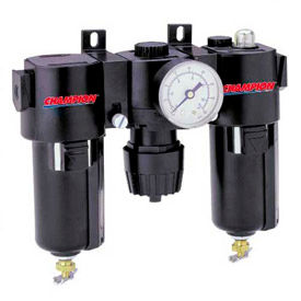 Champion® Particulate & Coalescing Filters