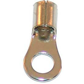 Terminals & Connectors