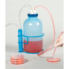 Cell/Tissue Culture