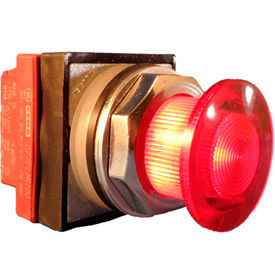 Springer 30mm Illumin. Mushroom Push Buttons