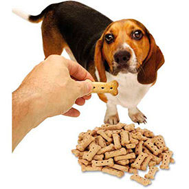 Pet Treats