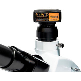 LW Scientific Microscope Cameras