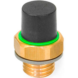 Brass Breather Valves w/ Plastic Cap