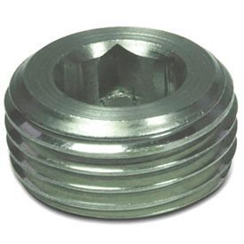 Threaded Plugs w / Tapered Thread