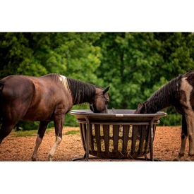 Equine Feeders