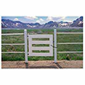 Poly Gates